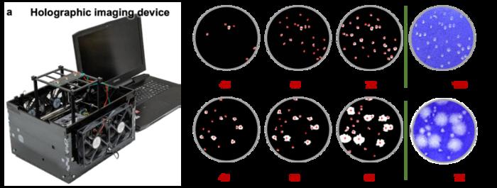 Figure | Viral plaque detection system enabled by holography and deep learning.