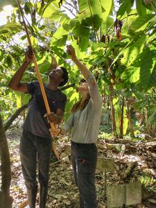 From Trinidad and Tobaggo to the ESRF