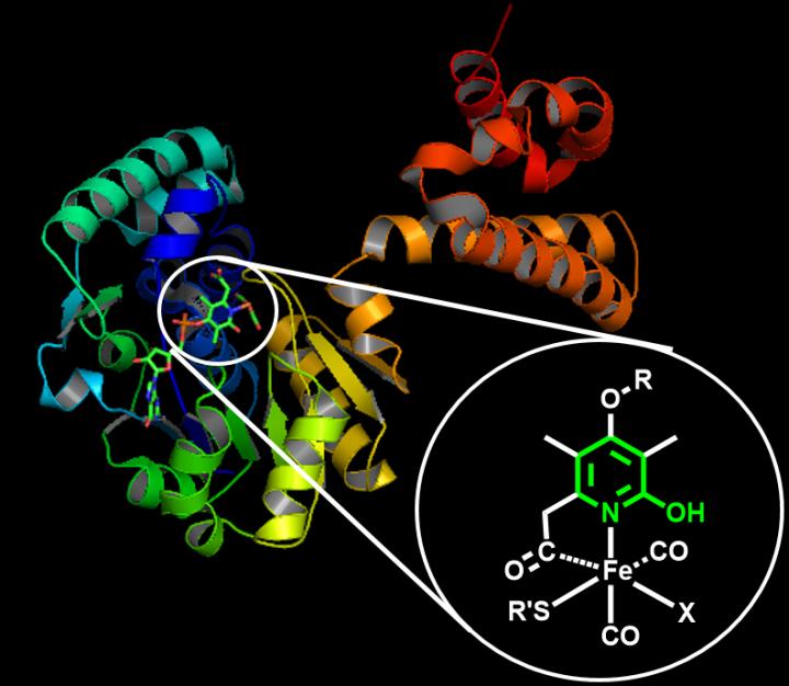 Structure of a Natural Iron-Based Hydrogenase