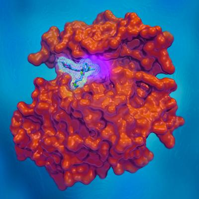 Compound Halts Common Type of Drug-resistant Lung Cancer