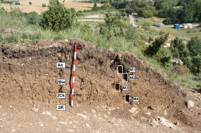 1,000-Year-Old Vineyards Discovered in Alava (2 of 2)