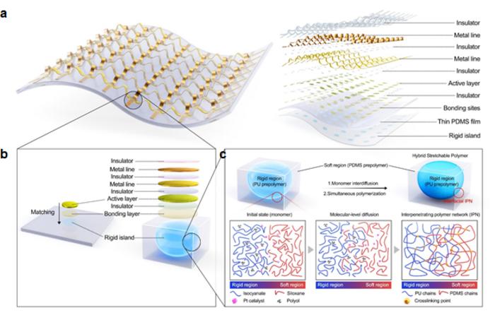 Stretchy substrate based on penetrating polymer (IPN) and integrated electronic system