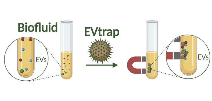 EVtrap technology