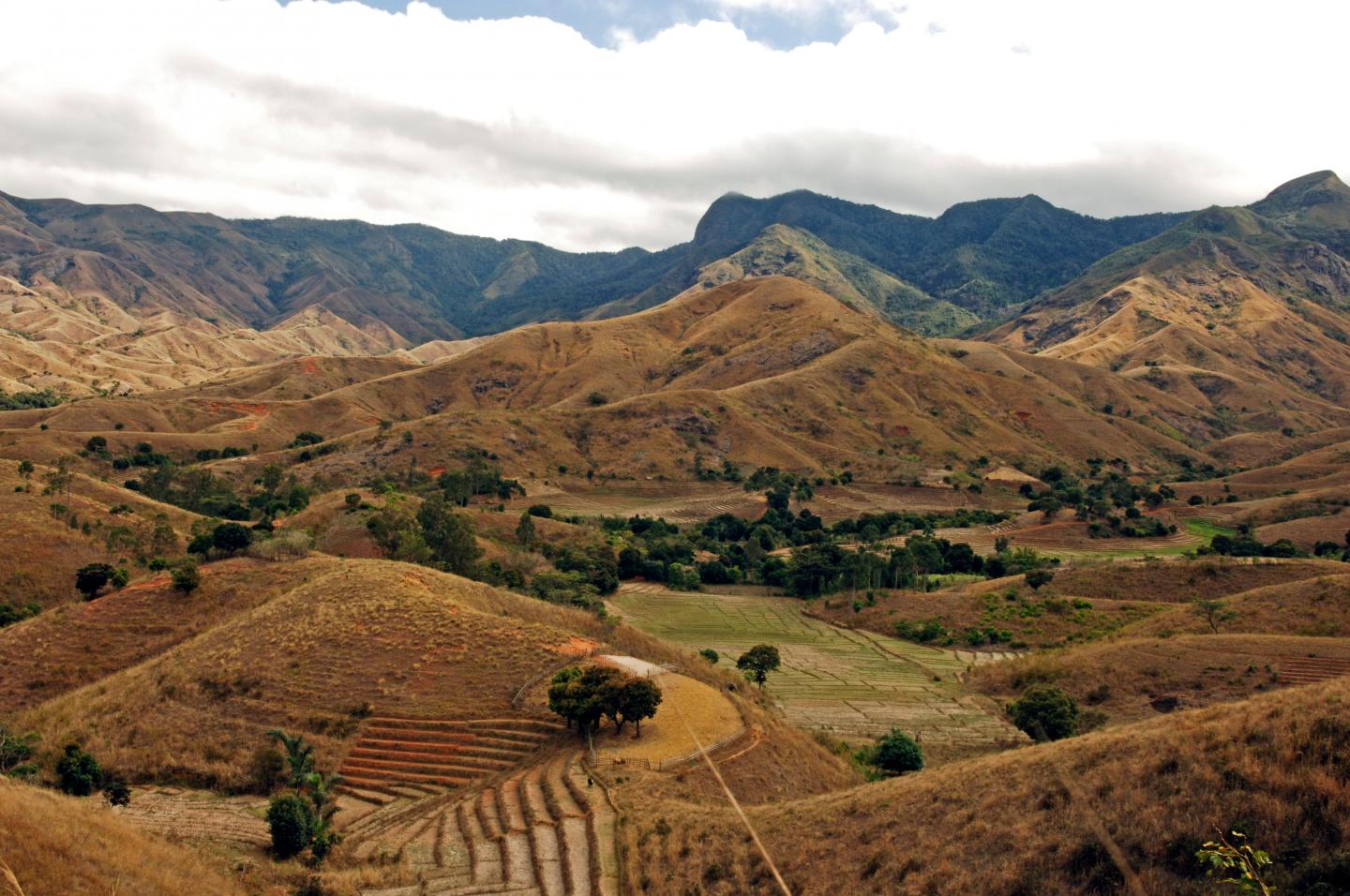 Madagascar Deforestation