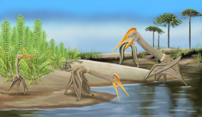 An artist’s impression of the hatchling pterosaurs