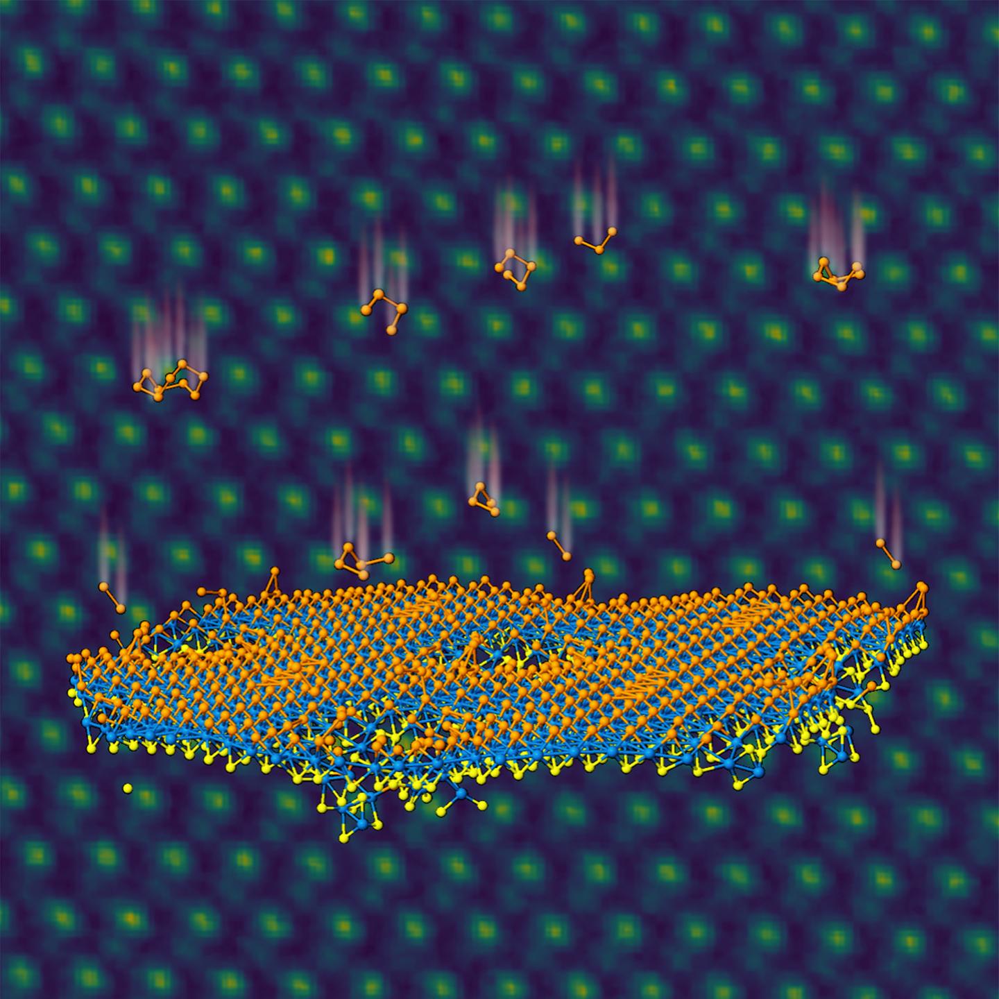 Selenium Atoms Implant in the Top Ply of a Monolayer