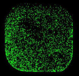 A Single Well of the 3-D HTS Tool