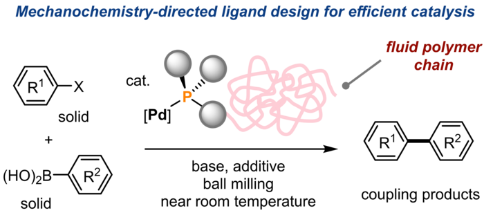 General reaction scheme