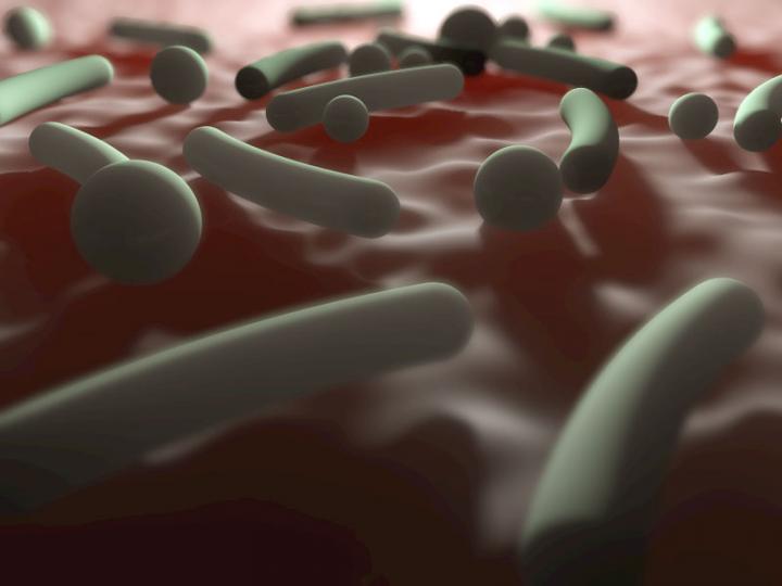 Antibiotics Disrupt Infants' Gut Microbiome, Studies Suggest (1 of 4)