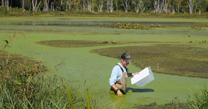 Field research at Purdue Wildlife Area