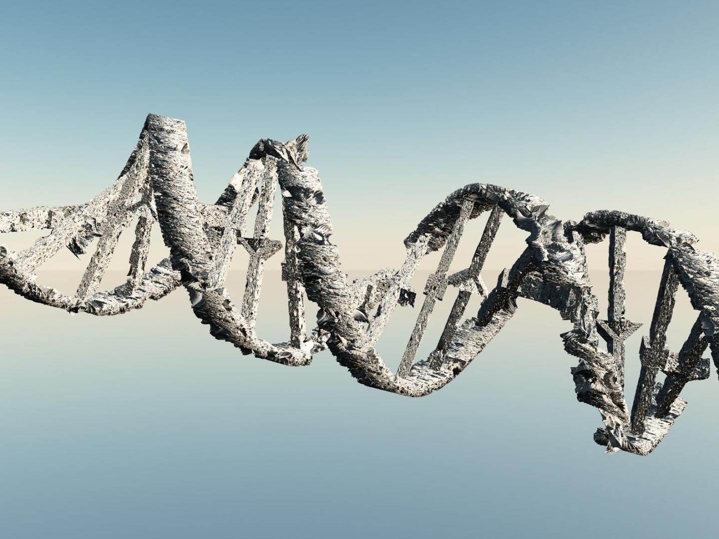 Damaged DNA