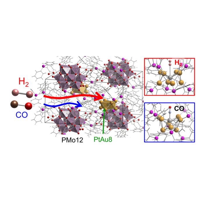 Gas transport through a metal cluster-containing crystalline solid.