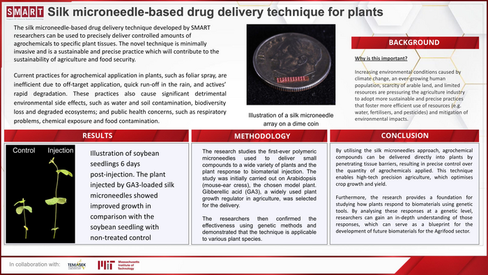 SMART DiSTAP infographic_ SMART researchers develop the world's first microneedle-based drug delivery technique for plants