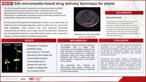 SMART DiSTAP infographic_ SMART researchers develop the world's first microneedle-based drug delivery technique for plants