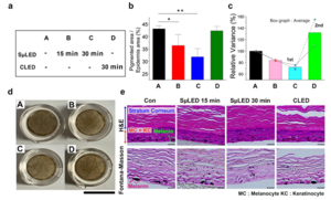 The efficacy of melanogenesis inhibition on 3D human skin cells