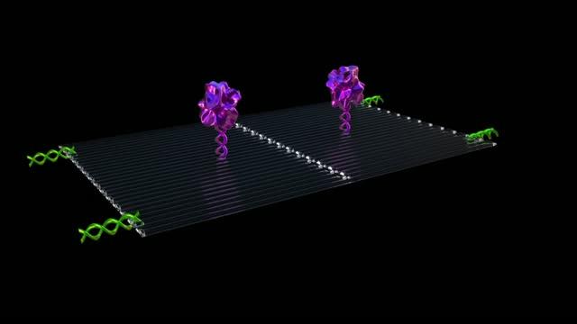 Nanobots Seek and Destroy Tumors