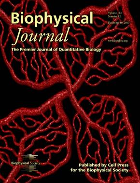 <em>Biophysical Journal</em> Cover