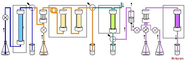 Multiple Continuous Flow Reaction System