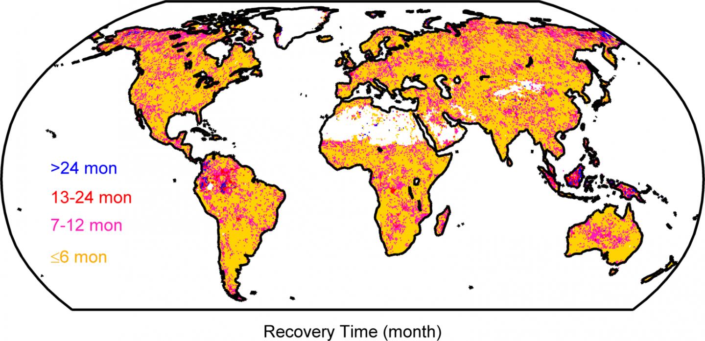 Drought Recovery Times