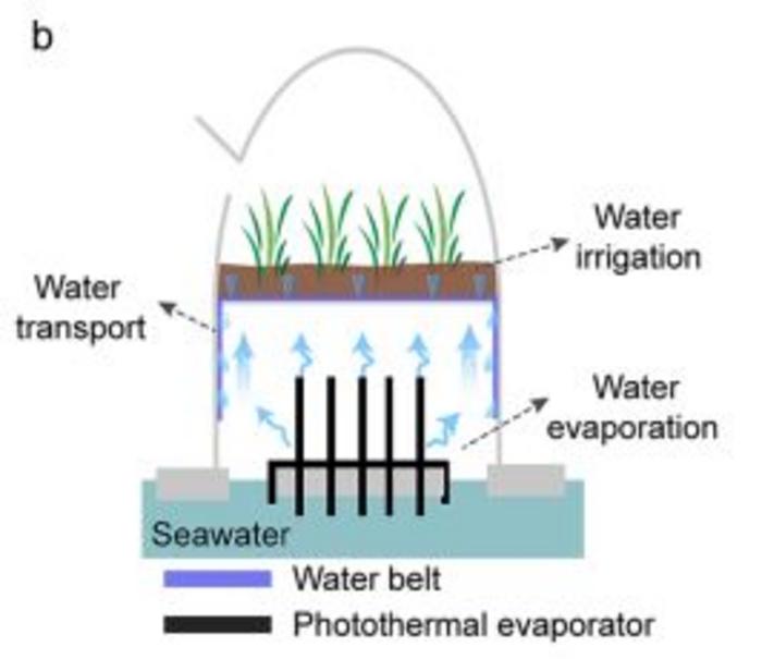 Solar sea chambers