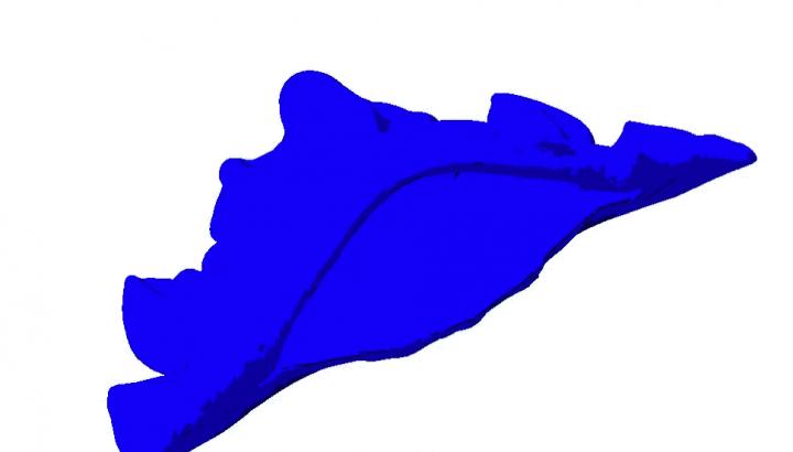 Simulating the Mantis Shield