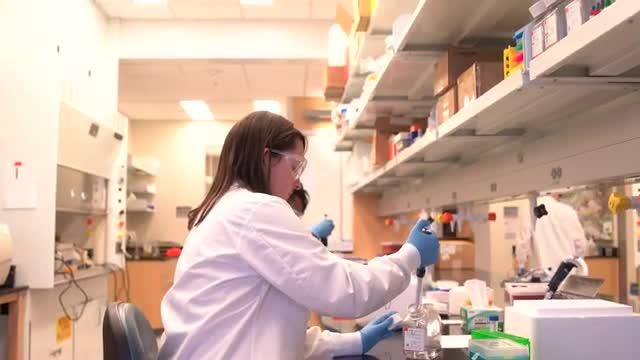 Brain Tumor Treatment Successfully Tested with Human Cells