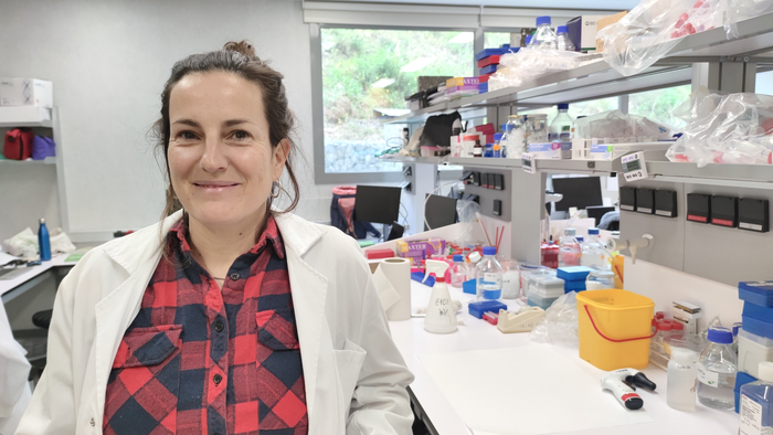 Dr. Mariona Graupera, co-lead author and Endothelial Pathobiology and Microenvironment group leader