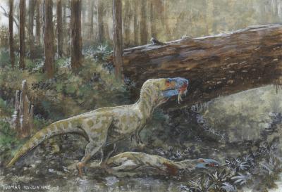 <i>Daspletosaurus</i> Cannibalism