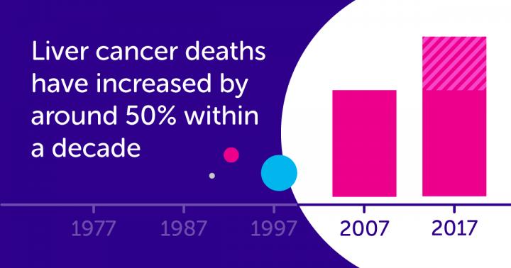 Liver Cancer Mortality