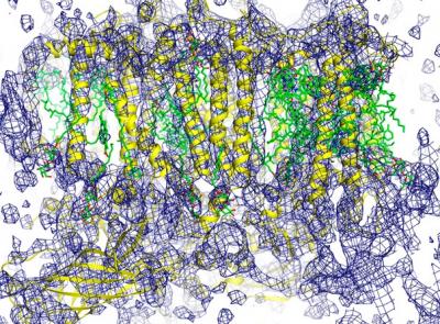 Electron Density Map of PS II