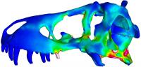 3D Image of a T. Rex Skull