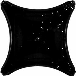 Fruit Flies Group Near Apple Cider Vinegar Smells