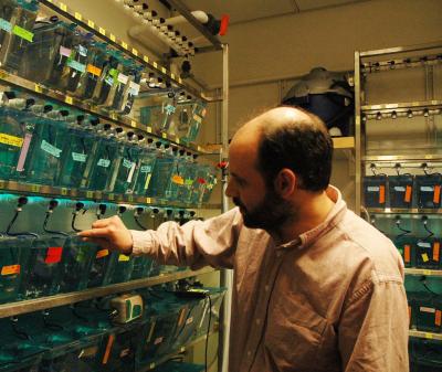 David Tobin, University of Washington