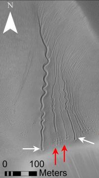 Linear Gullies on a Dune in Matara Crater, Mars