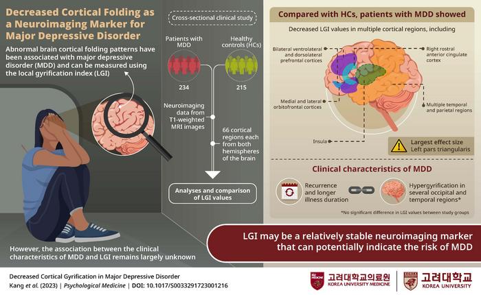 Korea University Medicine study highlights a | EurekAlert!