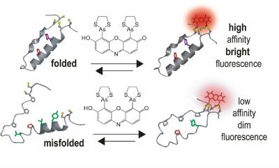 Schematic of Fluorescent Detector