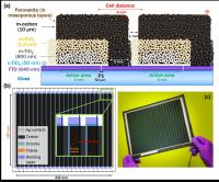 Three Views of the Carbon Perovskite Solar Cell Module