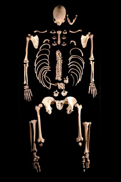 7000‑Year‑Old Skeleton Discovered in Leon (Spain)