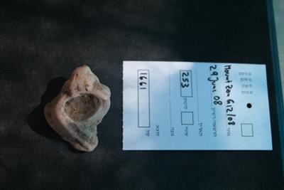 Murex Shell from Mt. Zion Dig