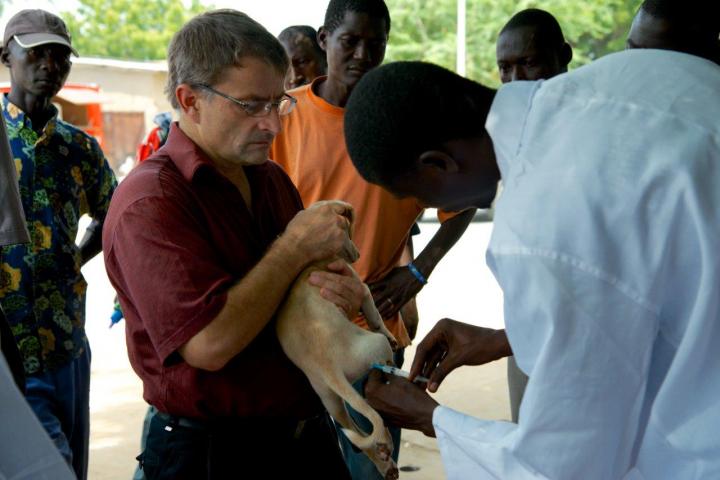 Mass Dog Vaccination by Swiss TPH and Partners in Chad in 2013
