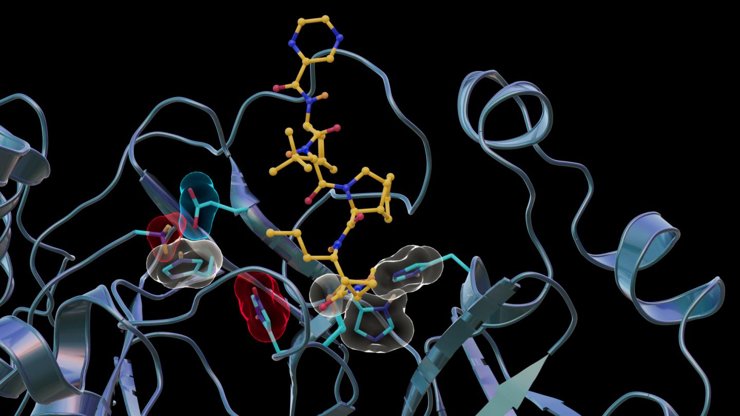 Neutron scattering experiments show electric charges in the SARS-CoV-2 main protease site where telaprevir binds to the structure.