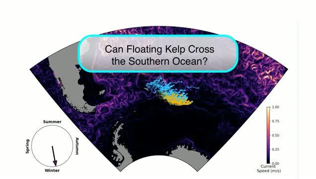 Animation Showing Kelp Journey to Antarctica