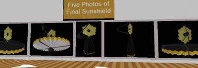 Winning Team Graphic Representations of a Sun Shield