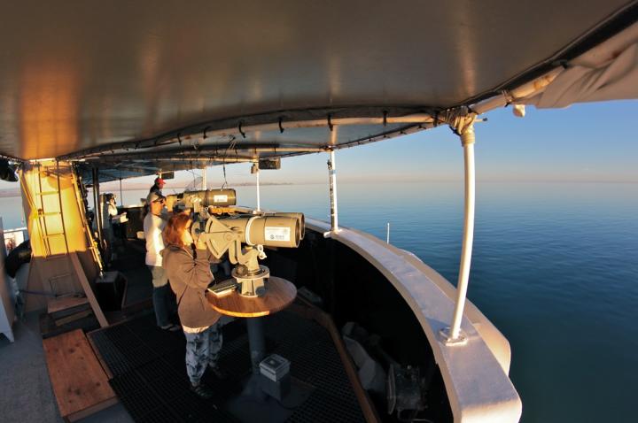 Searching for Vaquita