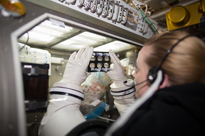 Astronaut Aboard the ISS Examines hiPSC-Derived Cardiomyocytes