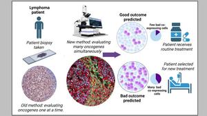 2023 0718 Novel approach predicting resistance against cancer therapy