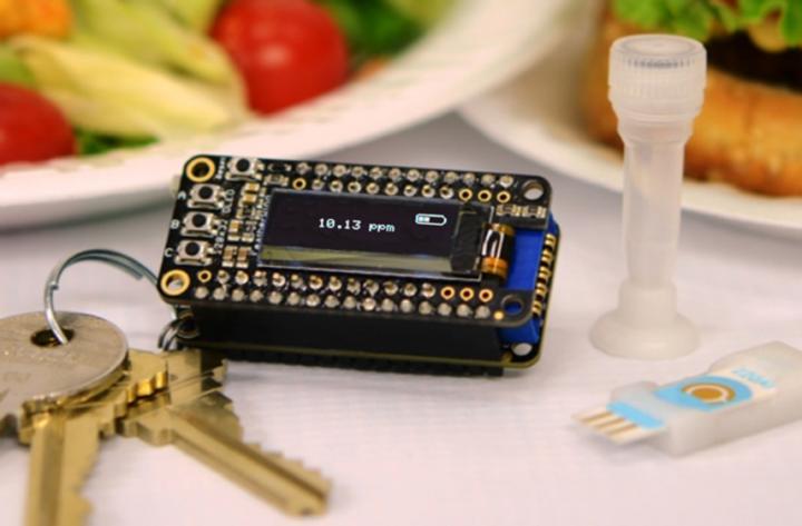 Keychain Detector Could Catch Food Allergens before It's Too Late