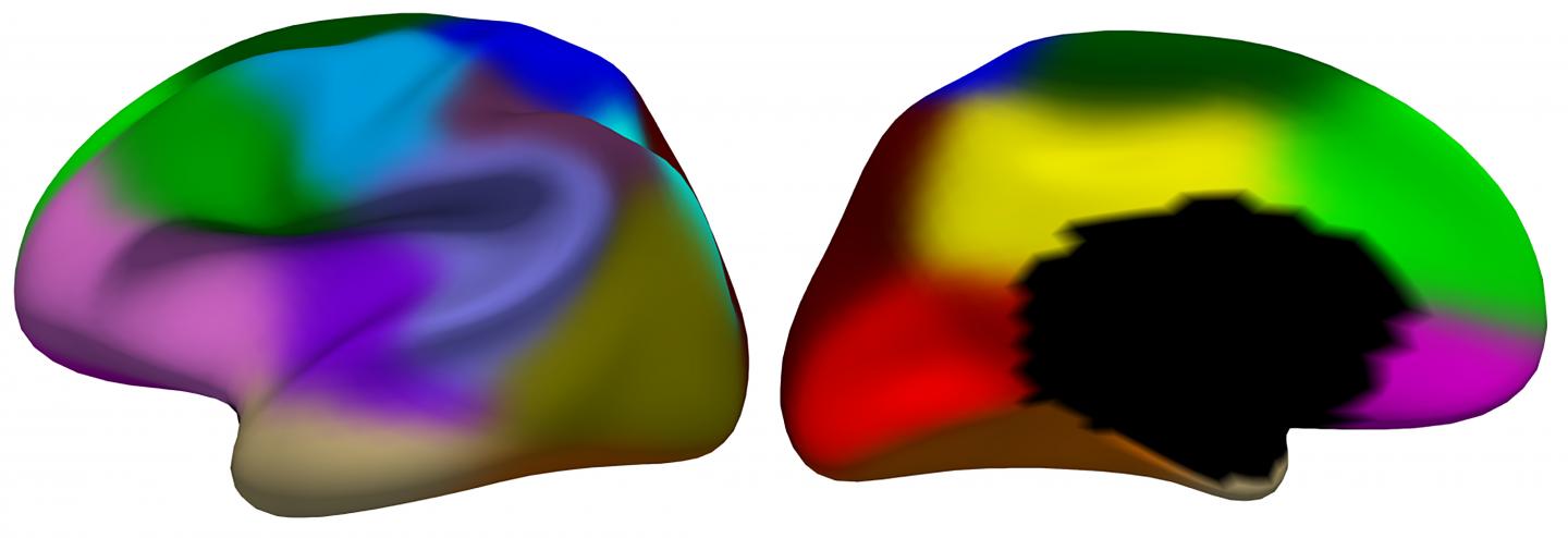 Cortical Thickness Regionalization during Infancy