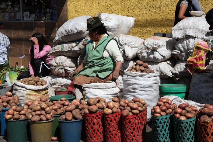 Potatoes at a local market