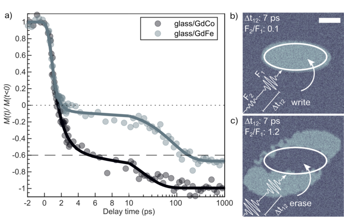 Ultrafast switching dynamics of a GdFe and GdCo alloy, showing the magnetization as a function of time after the laser pulse